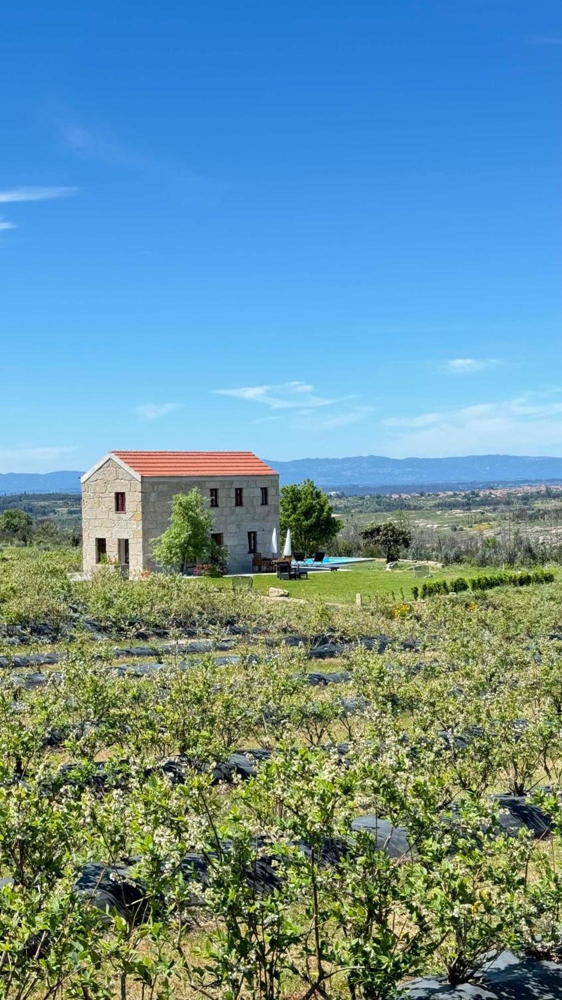 Quinta Da Cumieira Nova Villa Seia Exterior photo